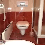 Apartman Zeleni Dragulj Pohorje - Mir, Narava, Izhodisce Za Roglo Oplotnica