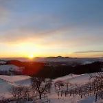 Apartman Zeleni Dragulj Pohorje - Mir, Narava, Izhodisce Za Roglo