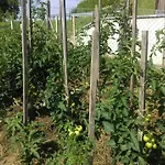 Zeleni Dragulj Pohorje - Mir, Narava, Izhodisce Za Roglo *