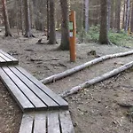 Apartman Zeleni Dragulj Pohorje - Mir, Narava, Izhodisce Za Roglo
