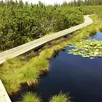 Zeleni Dragulj Pohorje - Mir, Narava, Izhodisce Za Roglo *