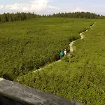 Zeleni Dragulj Pohorje - Mir, Narava, Izhodisce Za Roglo Apartman Oplotnica