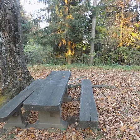 Διαμέρισμα Zeleni Dragulj Pohorje Oplotnica