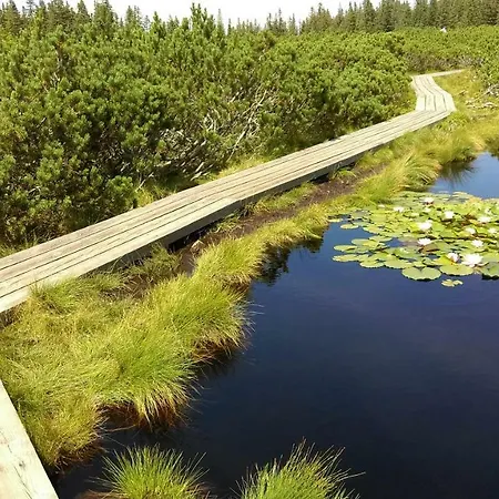 Zeleni Dragulj Pohorje *