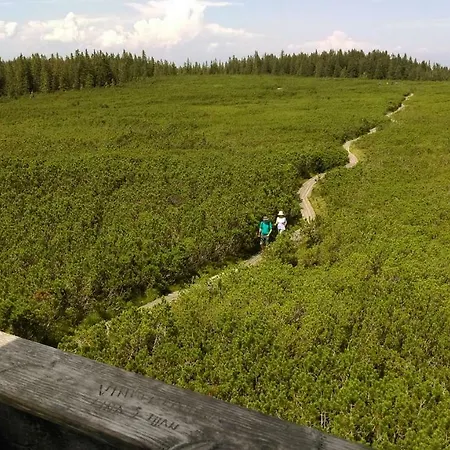 Zeleni Dragulj Pohorje Lägenhet Oplotnica