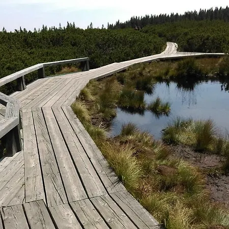 Zeleni Dragulj Pohorje Oplotnica