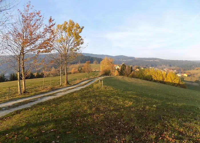 Apartamento Apartment Zeleni Dragulj Pohorje - Mir, Narava, Izhodisce Za Roglo *