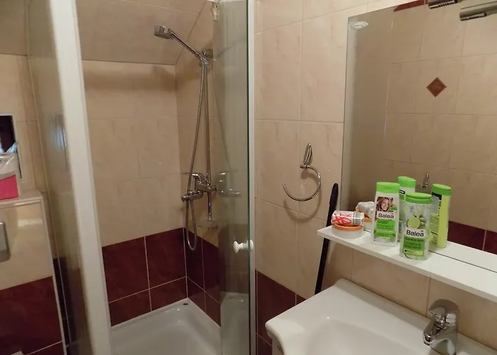 Apartamento Apartment Zeleni Dragulj Pohorje - Mir, Narava, Izhodisce Za Roglo *