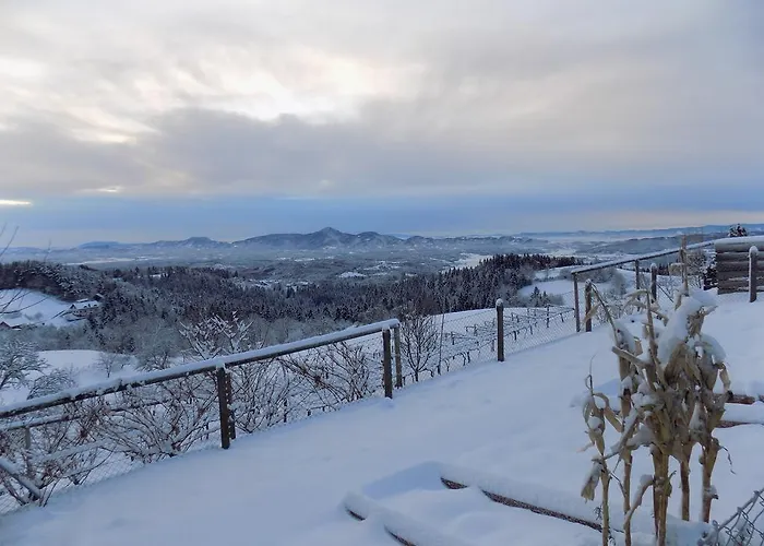 דירה Zeleni Dragulj Pohorje, Mir & Cudovita Narava