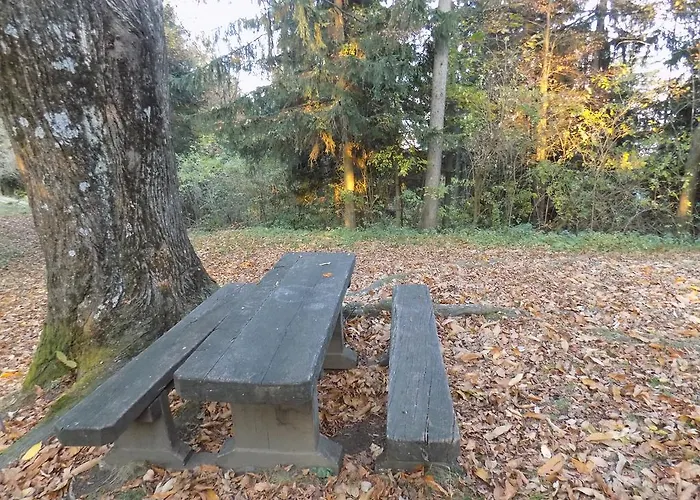 דירה Zeleni Dragulj Pohorje, Mir & Cudovita Narava Oplotnica