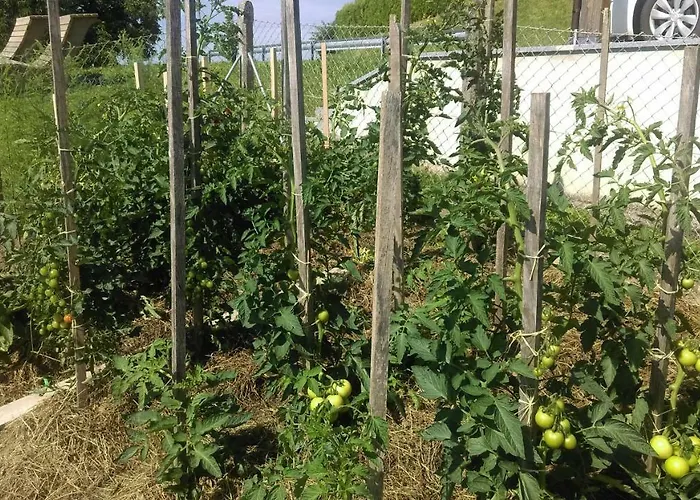 Zeleni Dragulj Pohorje, Mir & Cudovita Narava *