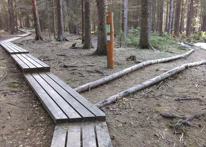 Apartamento Apartment Zeleni Dragulj Pohorje - Mir, Narava, Izhodisce Za Roglo