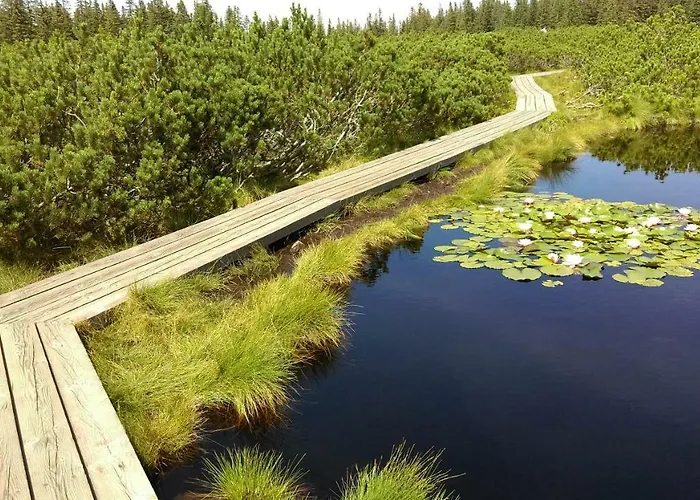 Zeleni Dragulj Pohorje, Mir & Cudovita Narava *
