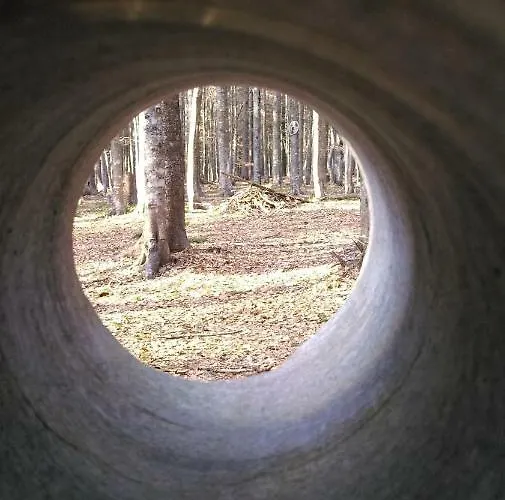 Zeleni Dragulj Pohorje, Mir & Cudovita Narava Oplotnica