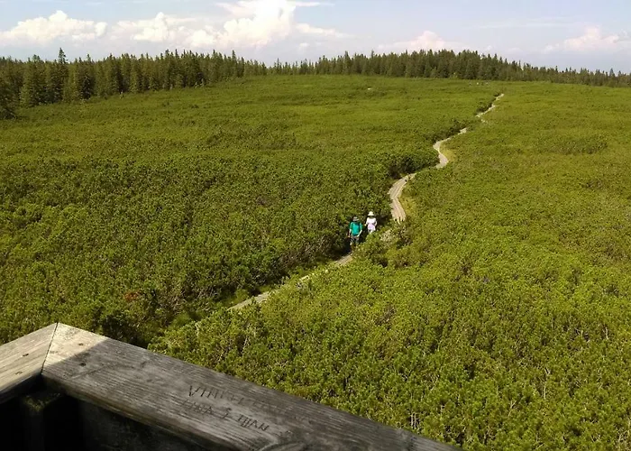 Zeleni Dragulj Pohorje, Mir & Cudovita Narava דירה Oplotnica
