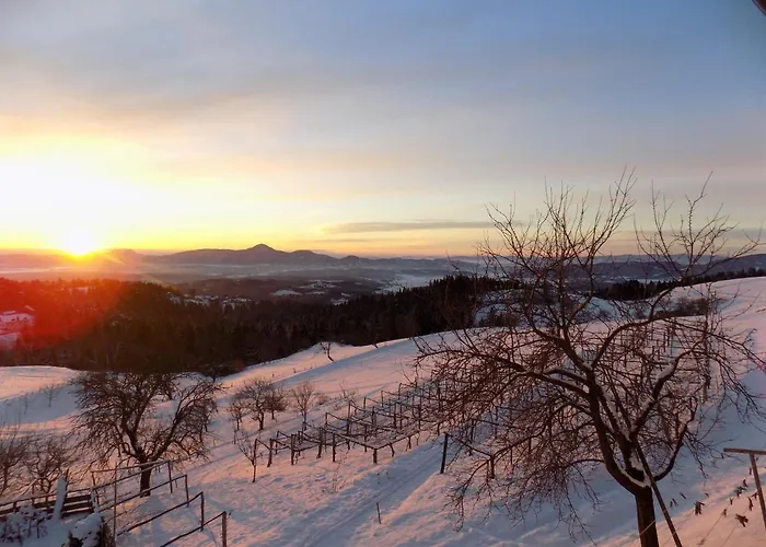 Apartment Zeleni Dragulj Pohorje - Mir, Narava, Izhodisce Za Roglo Oplotnica