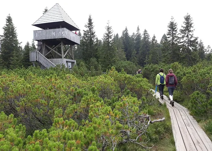 דירה Zeleni Dragulj Pohorje, Mir & Cudovita Narava Oplotnica
